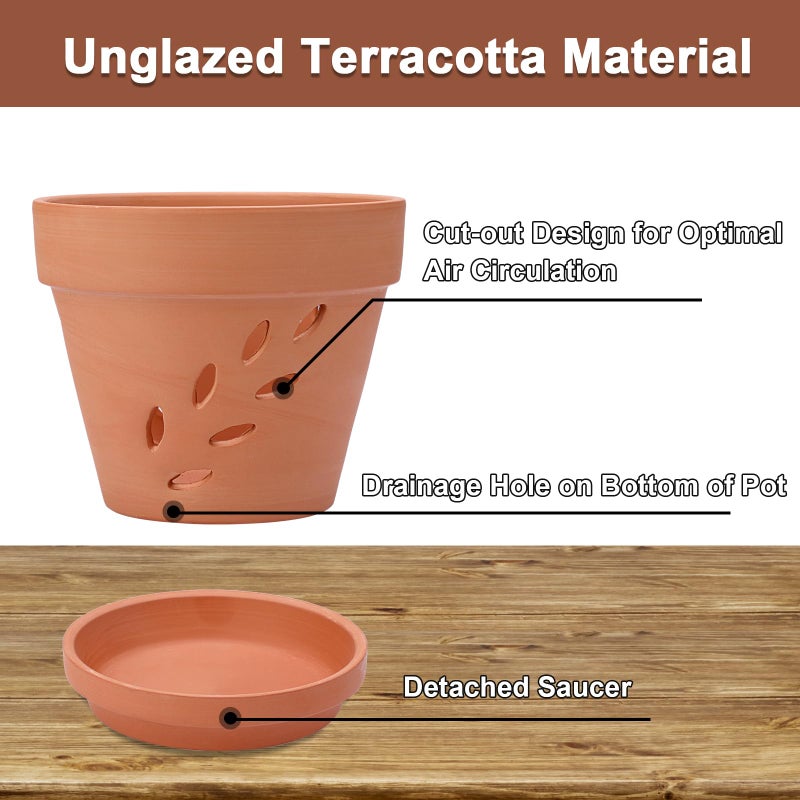 JUXYES 3 Pack Small Terracotta Orchid Pots with Holes and Saucers, Clay Orchid Planter Pots for Repotting, Plant Flower Pots for Orchid Indoor and Outdoor Promotes Air Circulation, 6 Inches - Image 4